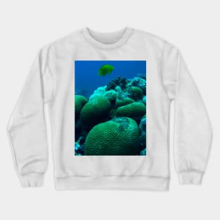 Red Sea Coral Reef Crewneck Sweatshirt